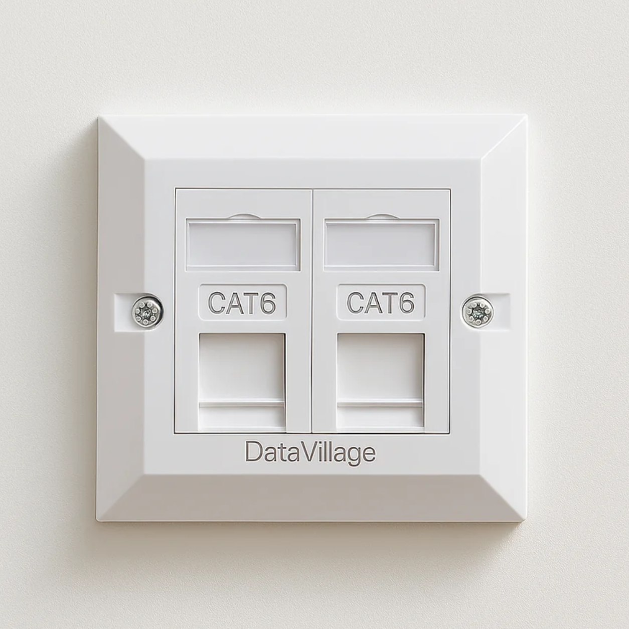 Double Data Outlet/Faceplate